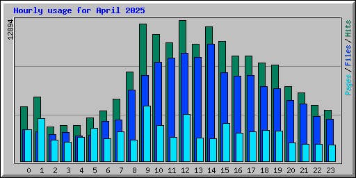 Hourly usage for April 2025